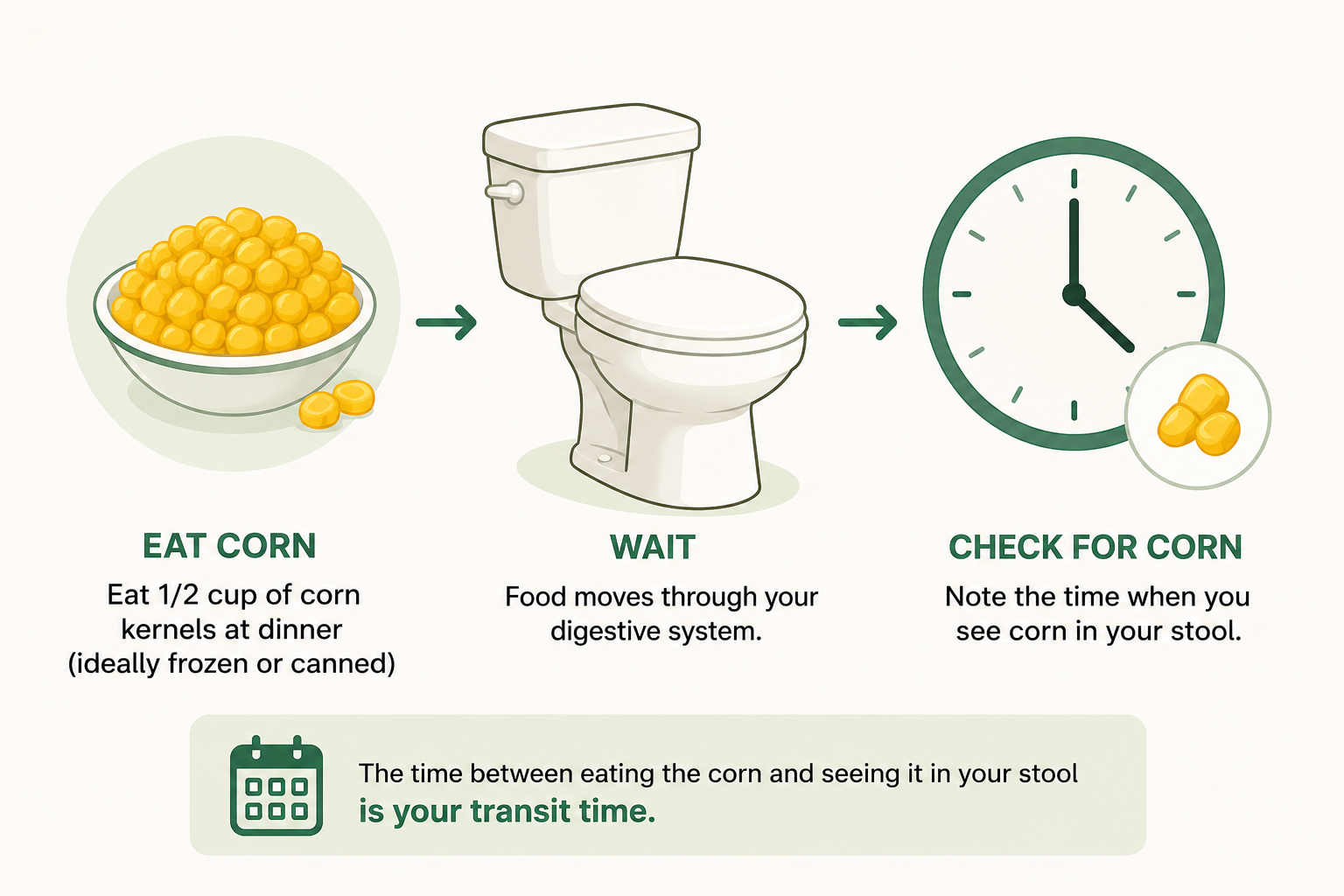 Illustration showing the three steps of the transit time test: eat corn, wait, then check for corn