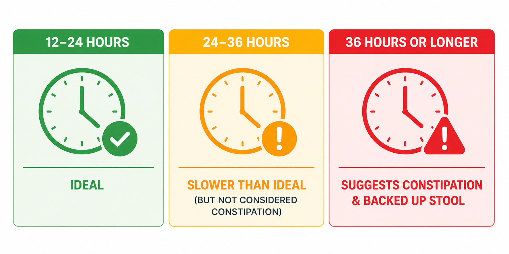 Three result ranges: 12-24 hours ideal, 24-36 hours slower than ideal, 36 hours or longer suggests constipation